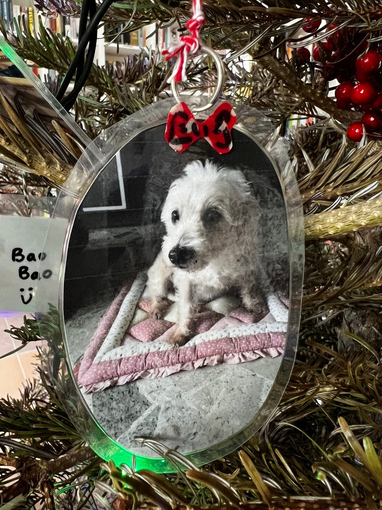 A keepsake on Firby showing Bao Bao, a small white dog, sitting on a blanket