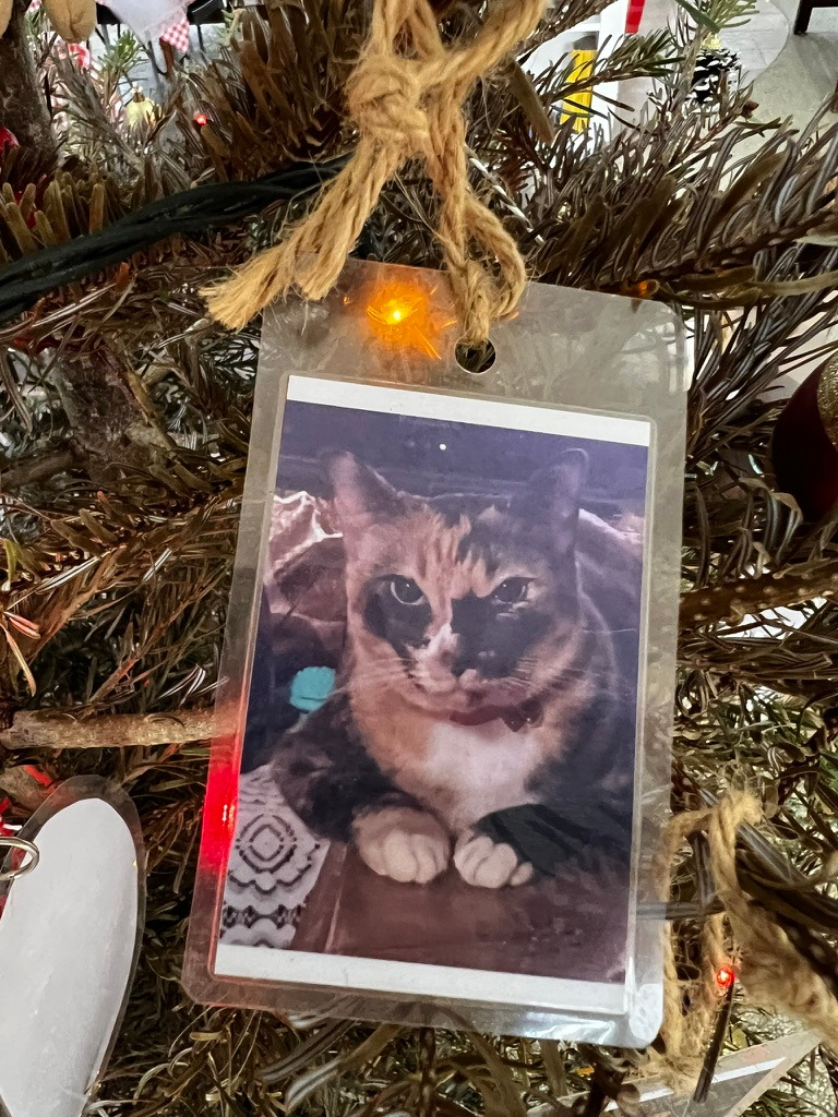 A keepsake on Firby showing a calico cat looking towards the camera