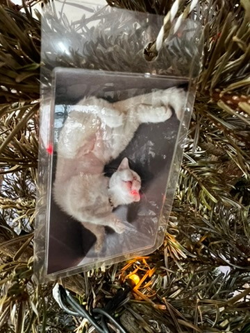 A keepsake on Firby showing a white cat sleeping on its back