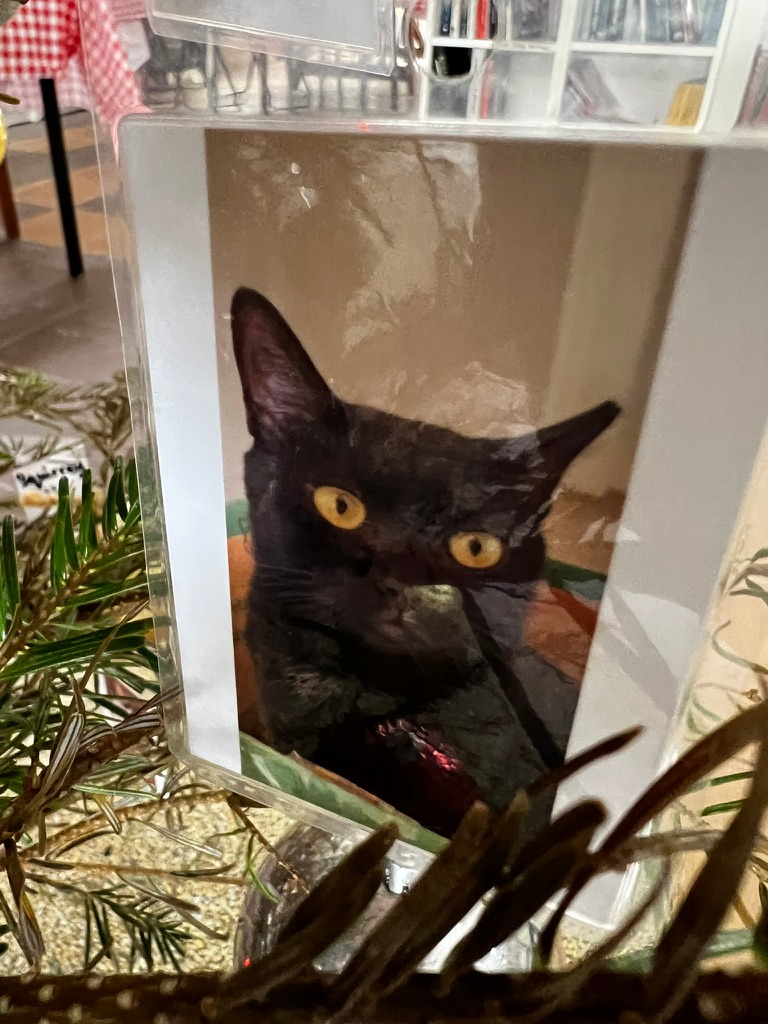 A keepsake on Firby showing a black cat with bright yellow eyes