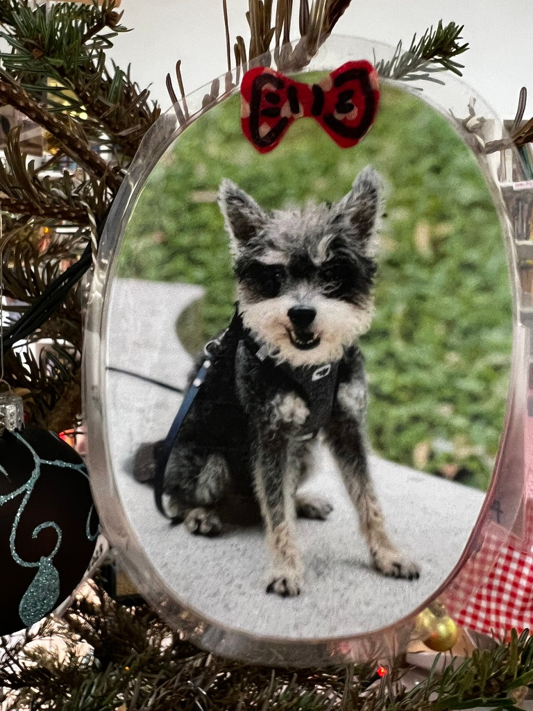 An oval keepsake on Firby showing a small black-and-white dog outdoors