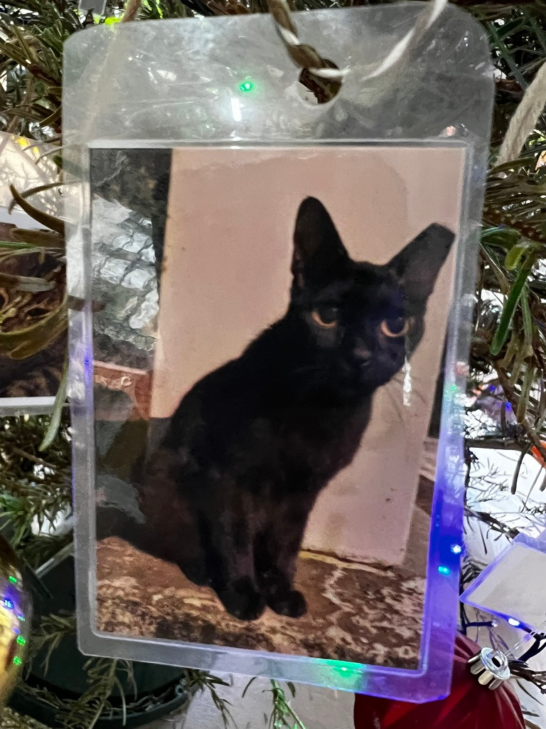 A keepsake on Firby showing a black cat sitting upright