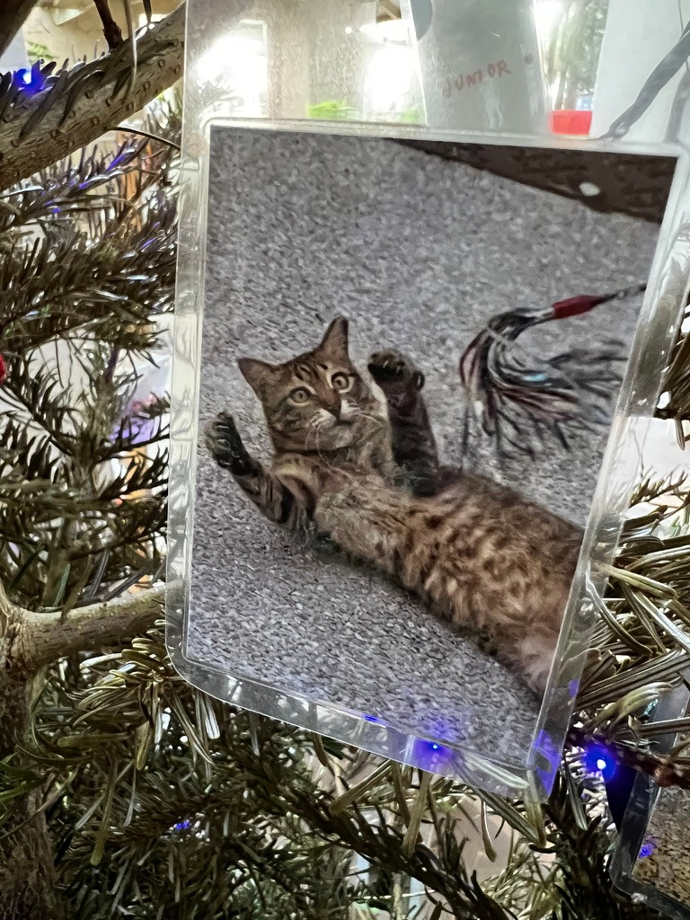 A keepsake on Firby showing a tabby cat lying on its back with paws raised beside a toy