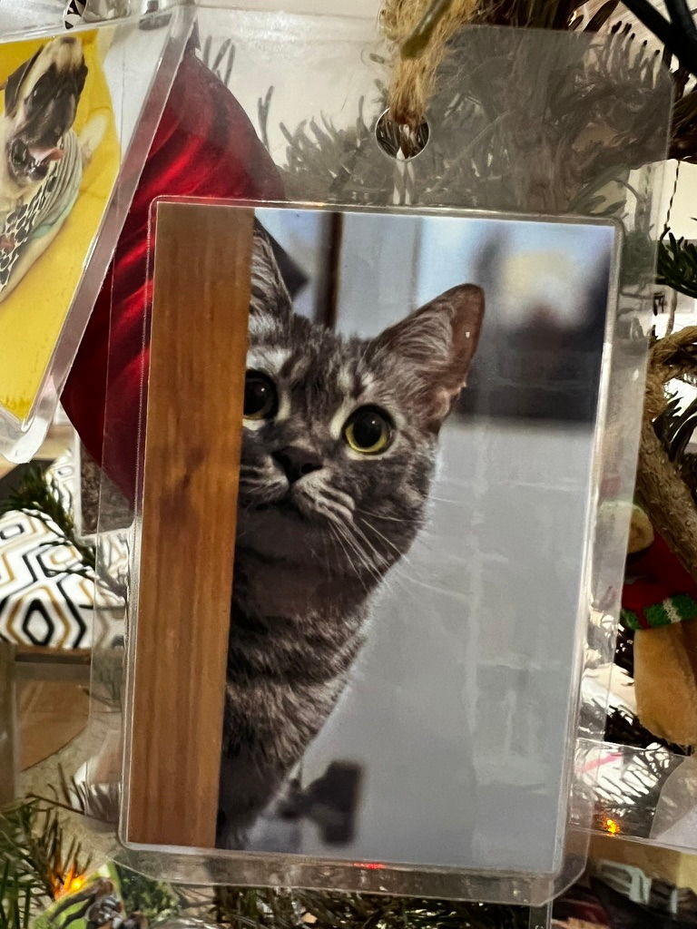 A keepsake on Firby showing a grey tabby cat peeking from behind a wooden edge
