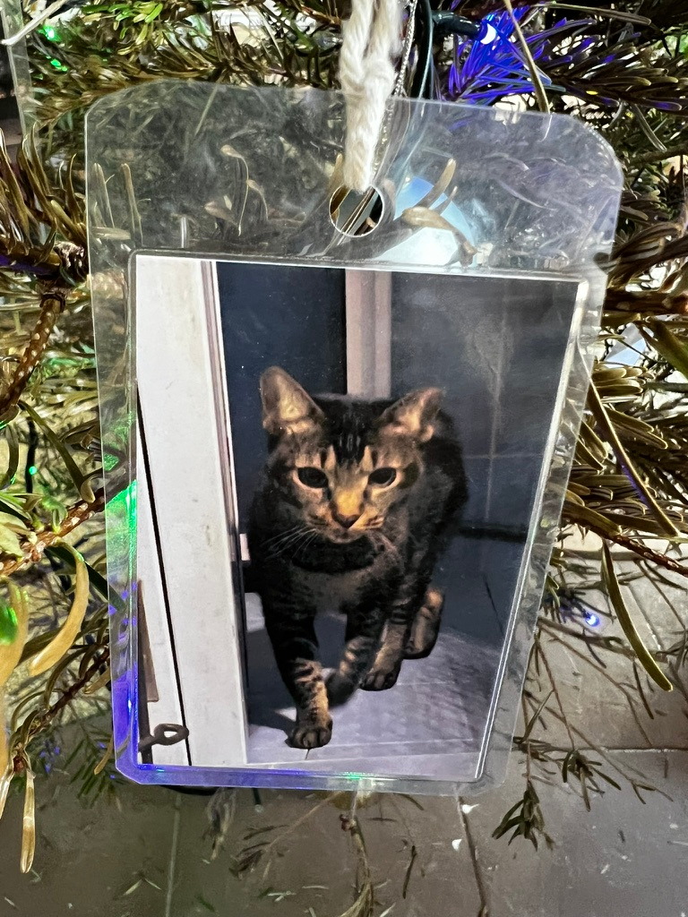 A keepsake on Firby showing a tabby cat stepping through a doorway