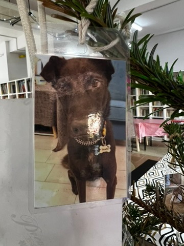 A keepsake on Firby showing a brown dog wearing a beaded necklace