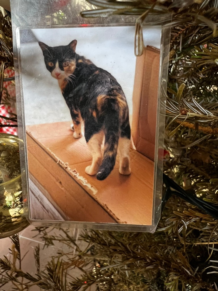 A keepsake on Firby showing a calico cat walking along a wooden ledge