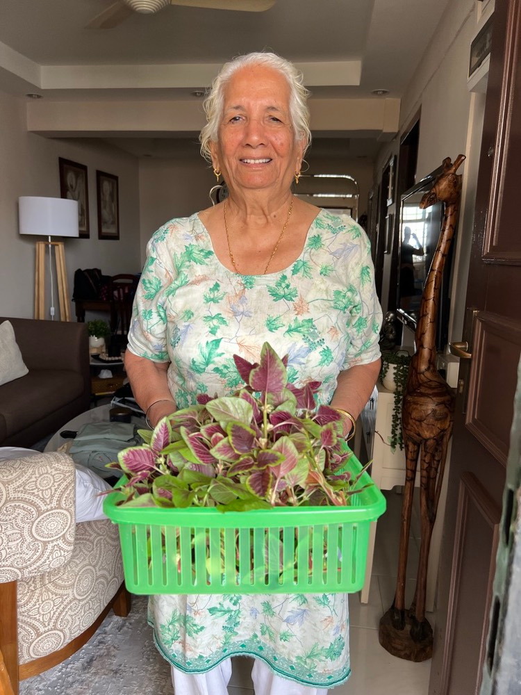 A neighbour holding a green basket filled with home-grown leafy vegetables at her doorway